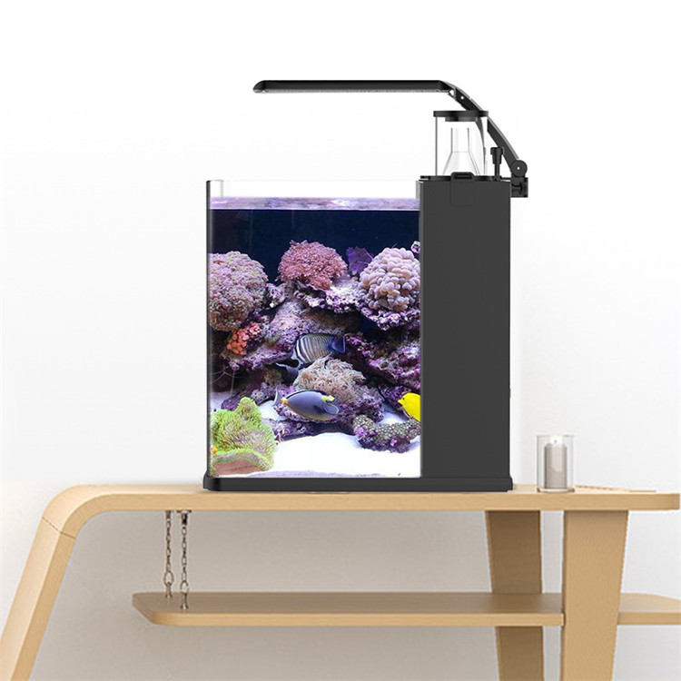 Marine Aquarium Cube - Skynuo Ultra Şeffaf Cam Mini Tuzlu