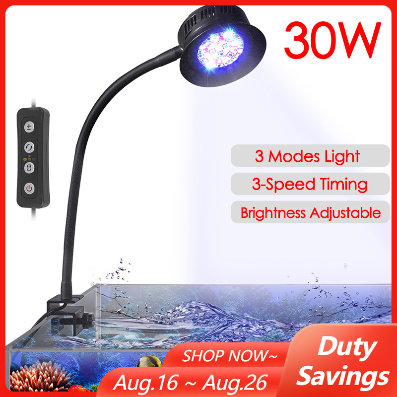 Aquarium Marine Fishes - 30W Akvaryum Balık Tankı Deniz Suyu