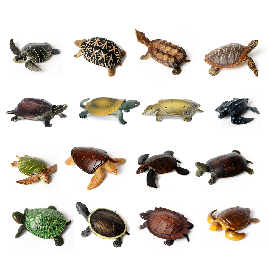 Aquarium Marine Fishes - Gerçekçi minyatürleri deniz yaşamı deniz kaplumbağası