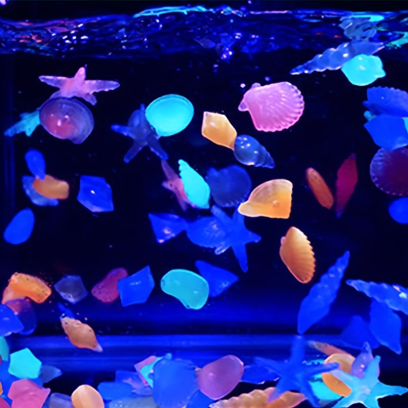 100 adet deniz ışıklı taşlar,  - Aquarium Marine Color incelemesi ve fiyatı