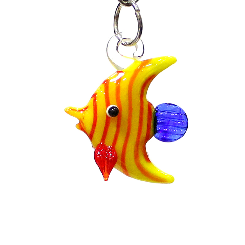 2 adet renkli mini deniz balığ - Marine Aquarium Europe incelemesi ve fiyatı