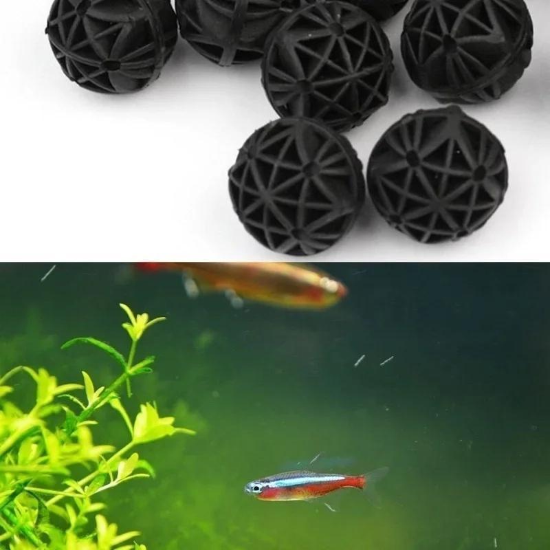 50 Adet 16mm Akvaryum Biyoloji - Aquarium Marine Fishes incelemesi ve fiyatı