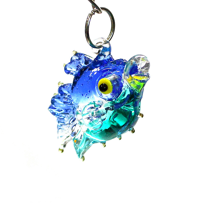 2 adet küçük deniz balığı glam - Marine Aquarium Europe incelemesi ve fiyatı