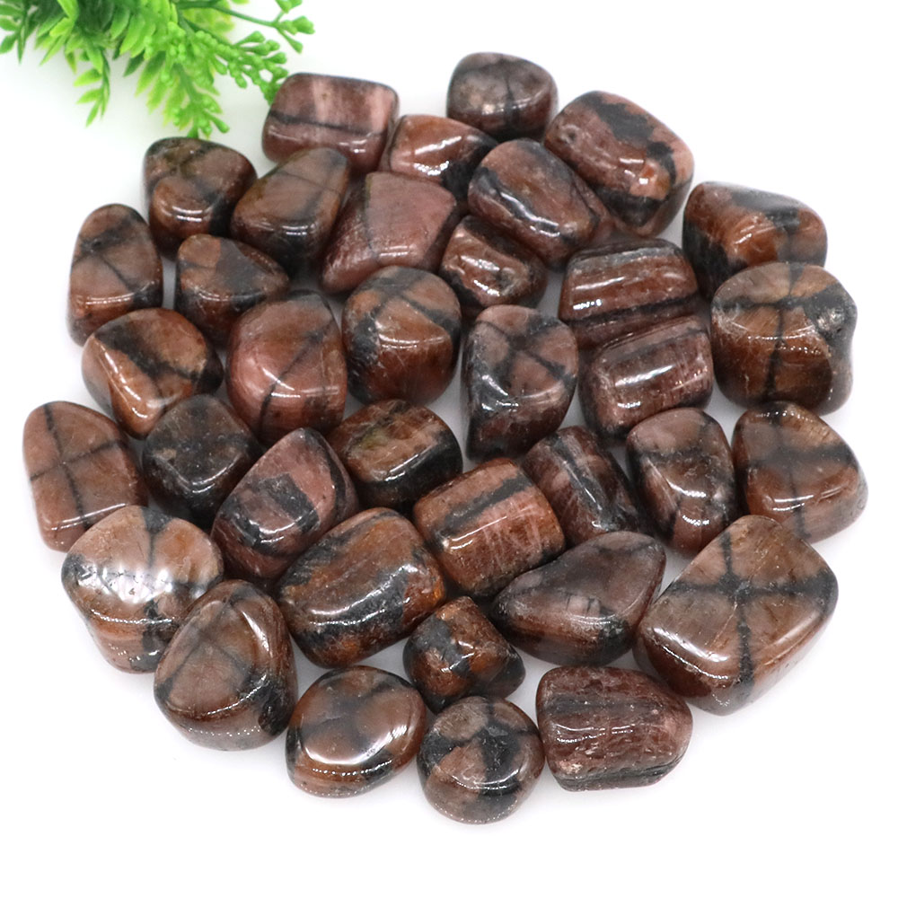 Doğal Çapraz Chiastolite Kuvar - Aquarium Marine Stone incelemesi ve fiyatı