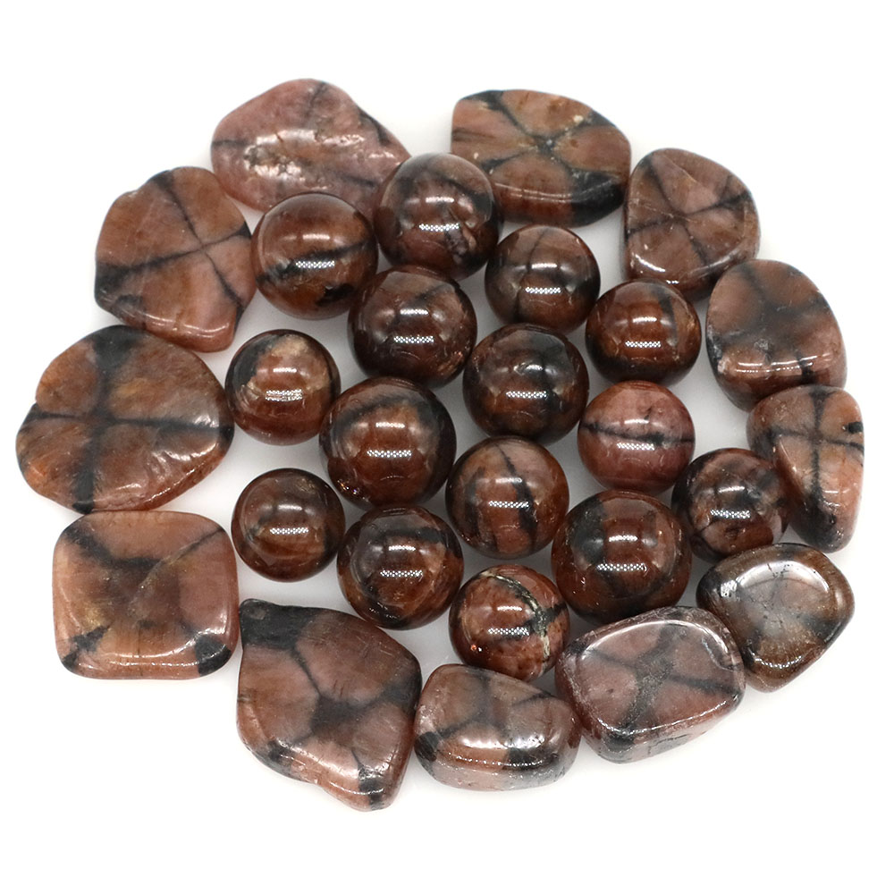 Doğal Çapraz Chiastolite Kuvar - Aquarium Marine Stone incelemesi ve fiyatı