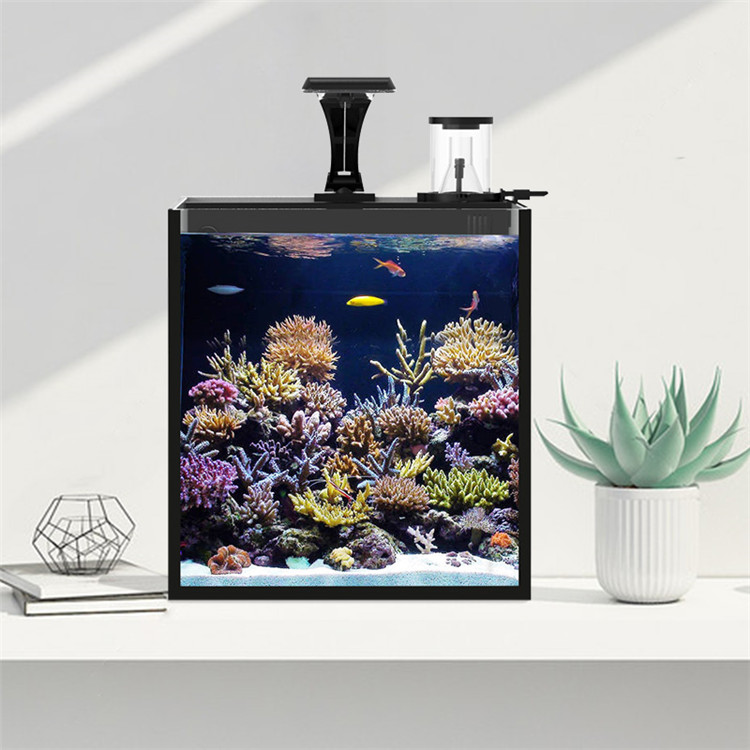 Skynuo Ultra Şeffaf Cam Mini T - Marine Aquarium Cube incelemesi ve fiyatı