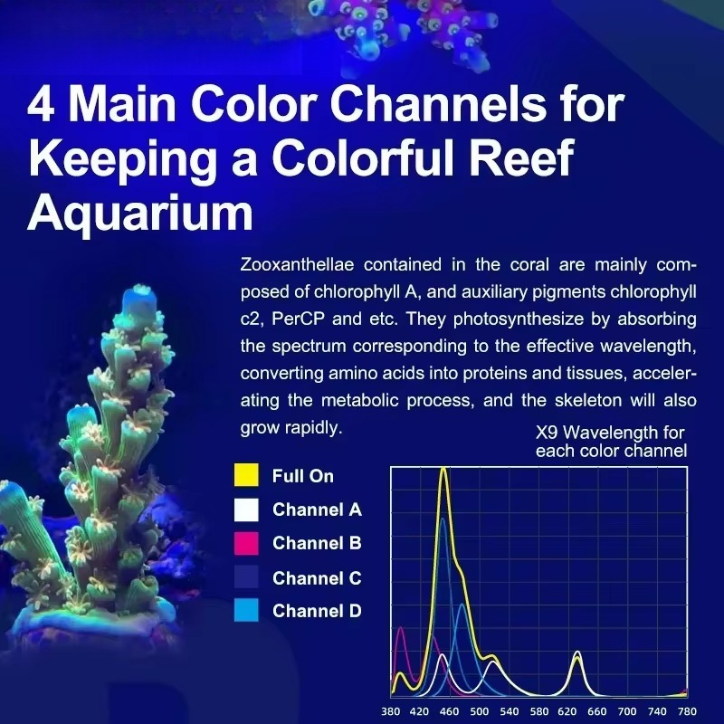 96W AC 110-240V Mercan Resif L - Aquarium Marine Color incelemesi ve fiyatı