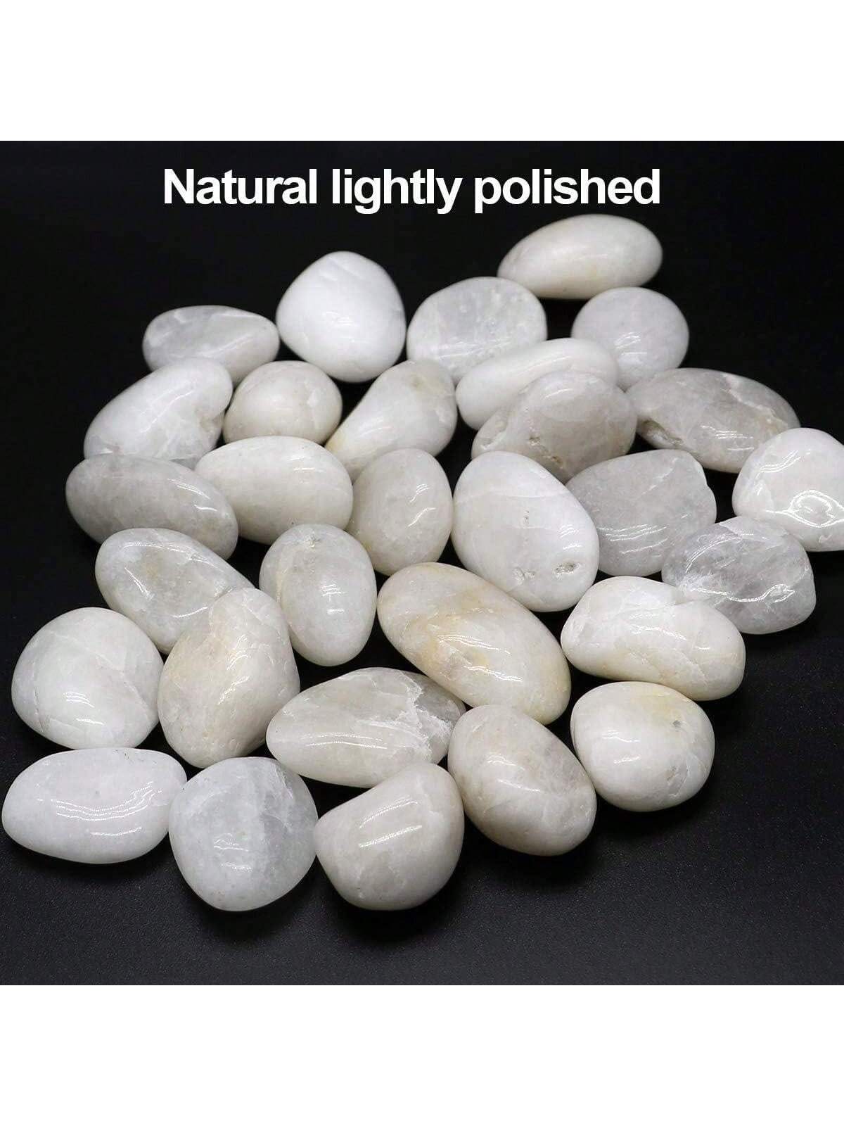 Nehir Kayaları Dekoratif Süs B - Aquarium Marine Stone incelemesi ve fiyatı