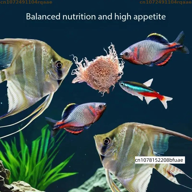Akvaryum Balık Yemleyici Uyuml - Marine Aquarium Cube incelemesi ve fiyatı