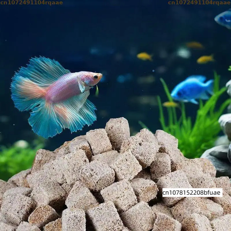 Akvaryum Balık Yemleyici Uyuml - Marine Aquarium Cube incelemesi ve fiyatı