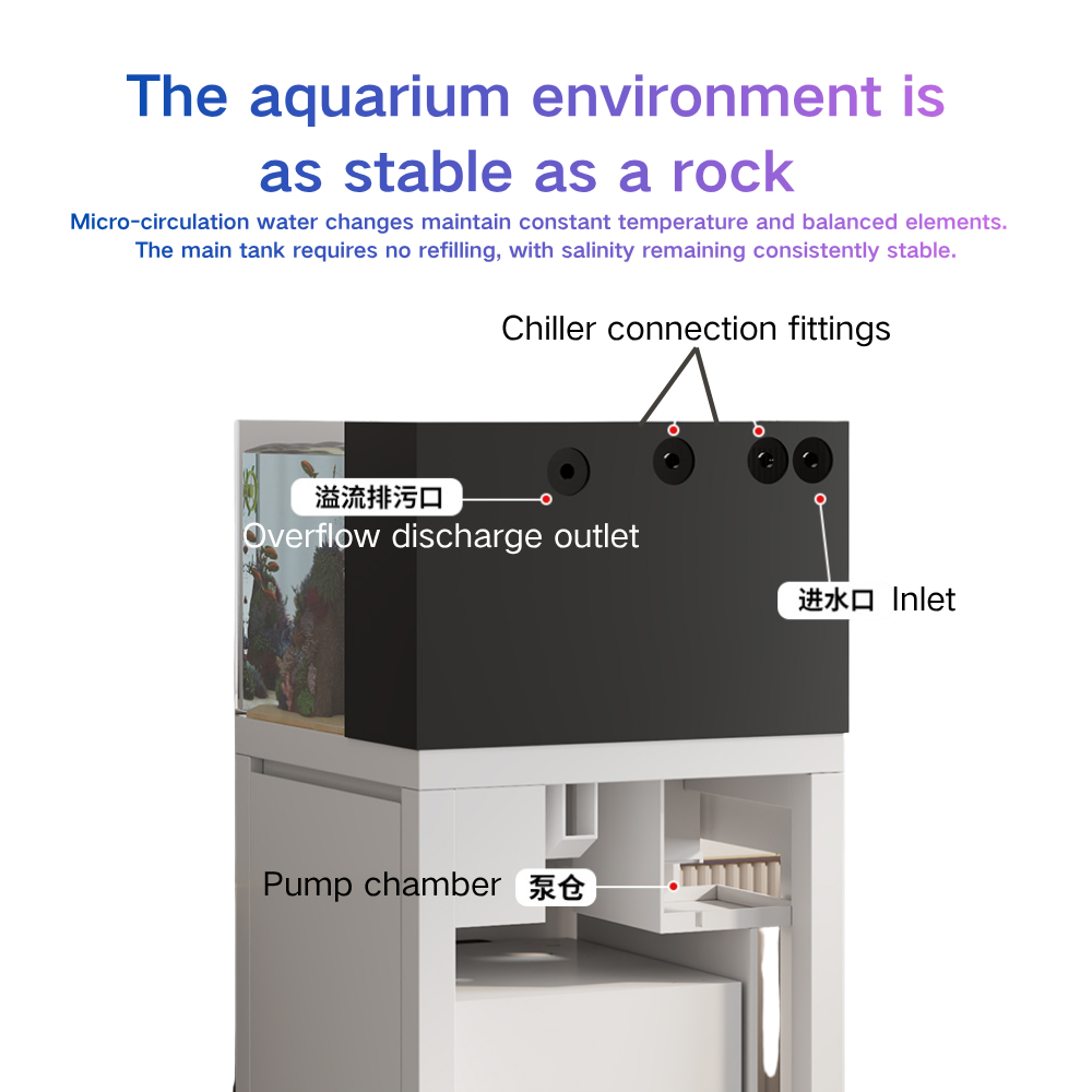 Akıllı Balık Tankı Otomatik Su - Marine Aquarium Cube incelemesi ve fiyatı