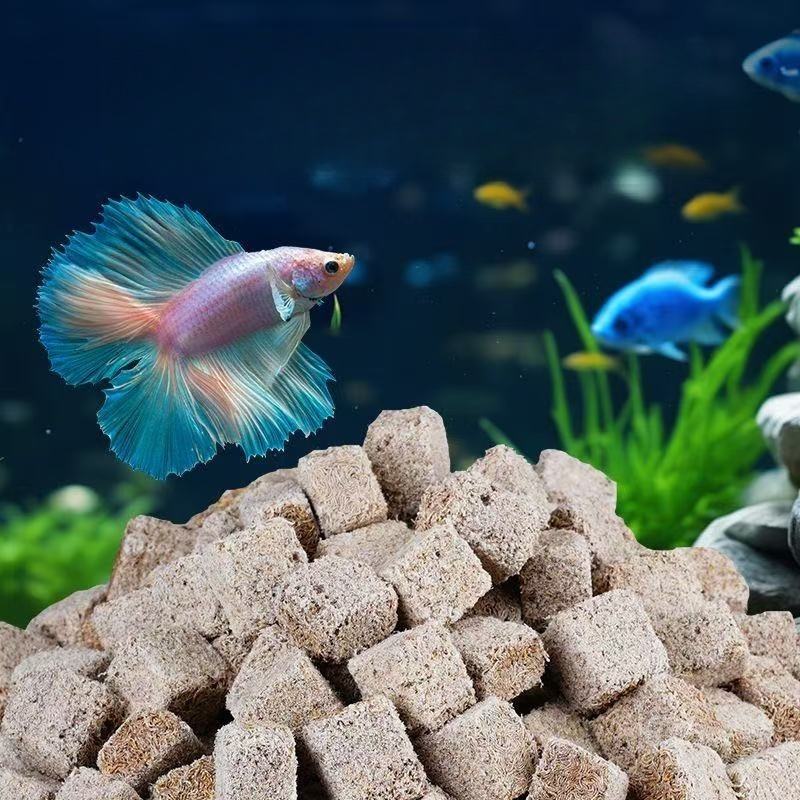 Doğal Dondurarak Kurutulmuş Ka - Marine Aquarium Cube incelemesi ve fiyatı