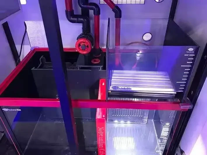 Neptunian Küp Refugium LED Işı - Marine Aquarium Cube incelemesi ve fiyatı