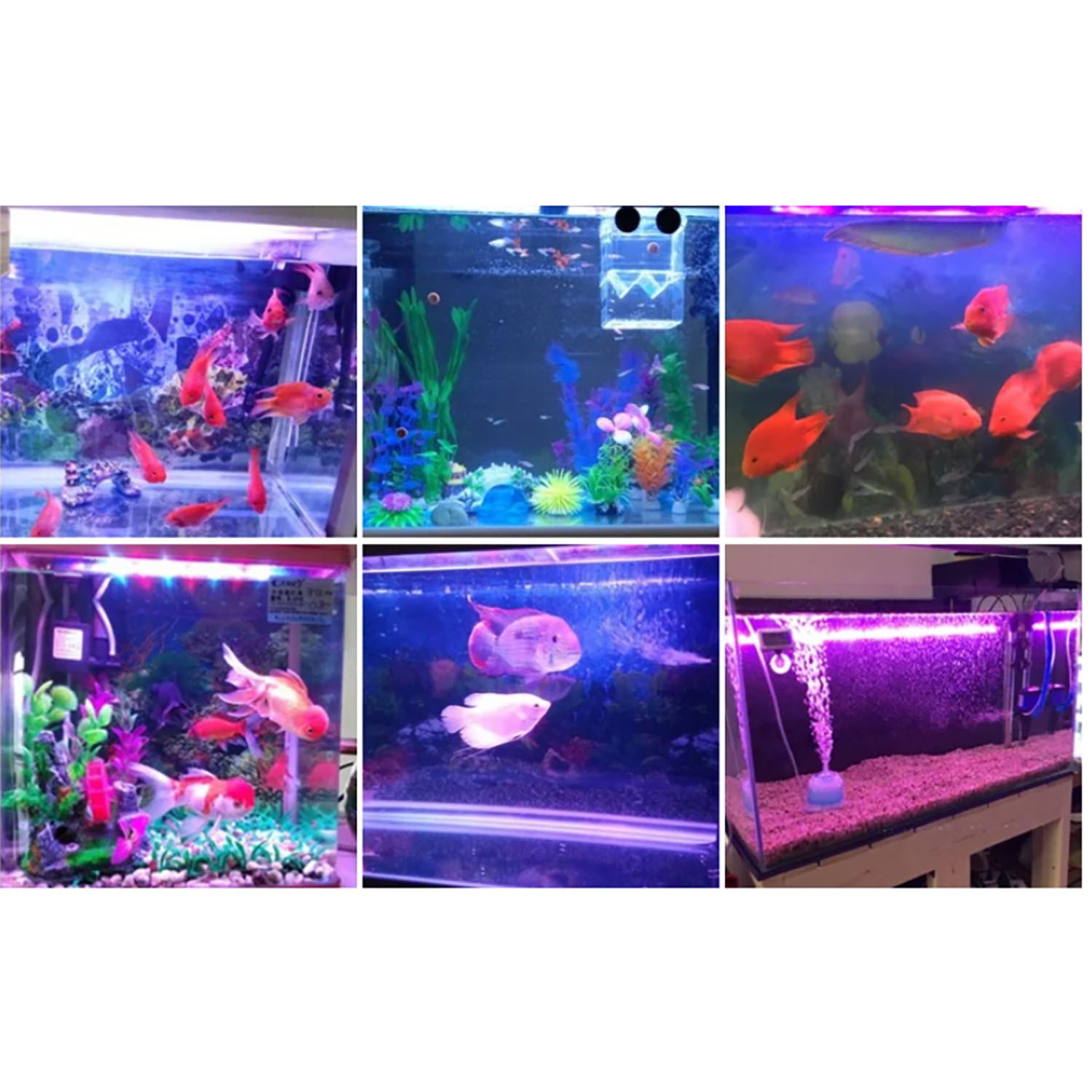 50W 60W 70W 100W RGB 26-28V Yü - Aquarium Marine Color incelemesi ve fiyatı