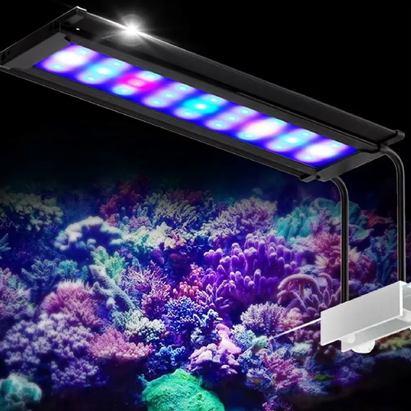 Deniz Mercanları LED Akvaryum  - Aquarium Marine Color incelemesi ve fiyatı