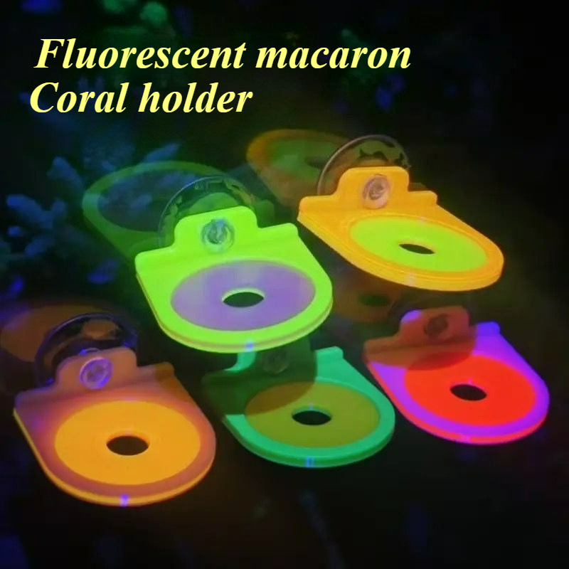Renk Rastgele Mercan Frag Tutu - Aquarium Marine Color incelemesi ve fiyatı