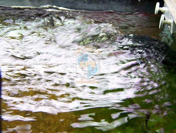Sunsun Jvp-200 en yeni dalga y - Aquarium Marine Color incelemesi ve fiyatı