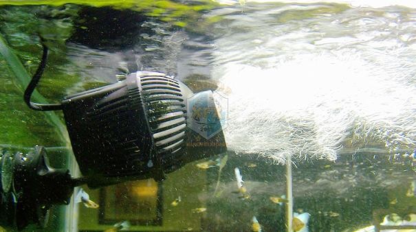 Sunsun Jvp-200 en yeni dalga y - Aquarium Marine Color incelemesi ve fiyatı