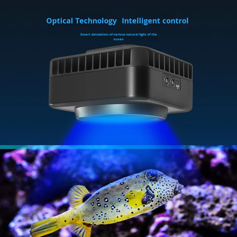 Jebao GSQ Akıllı Deniz Mercan  - Aquarium Marine Color incelemesi ve fiyatı